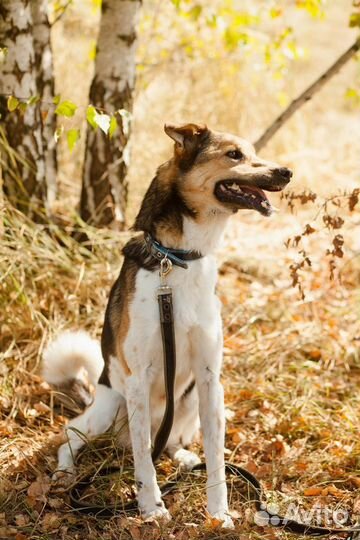 Особенная Зита из приюта