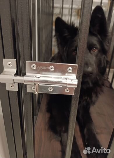 Клетка вольер для собак