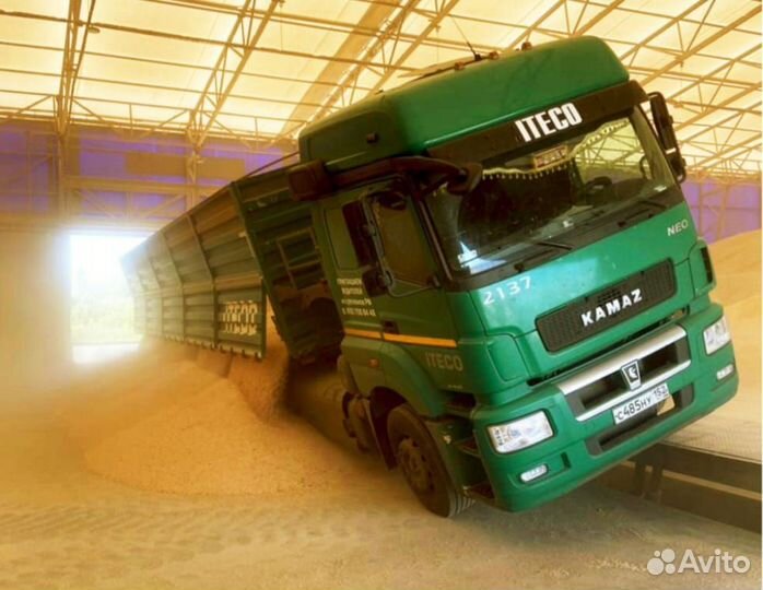 Водитель категории E (Зерновоз)