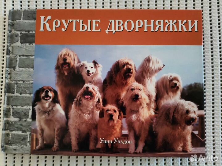 Книги тематики собаки