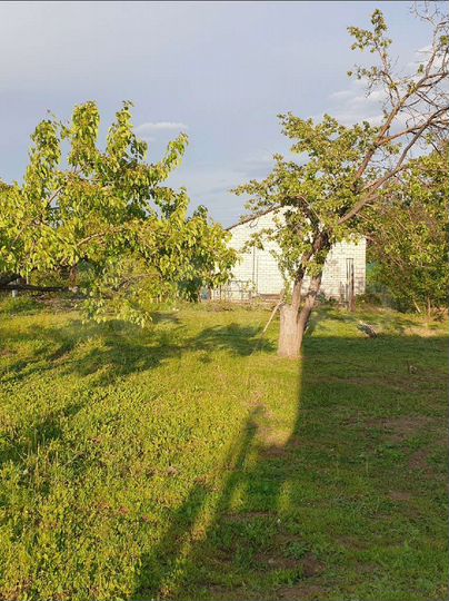 Дача 60 м² на участке 12 сот.