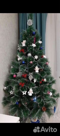 Сосна с шишками