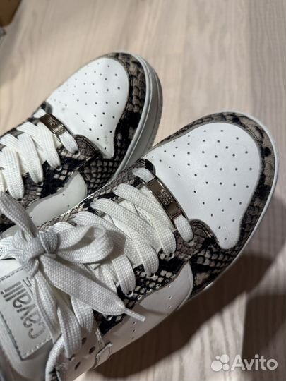 Just cavalli кеды