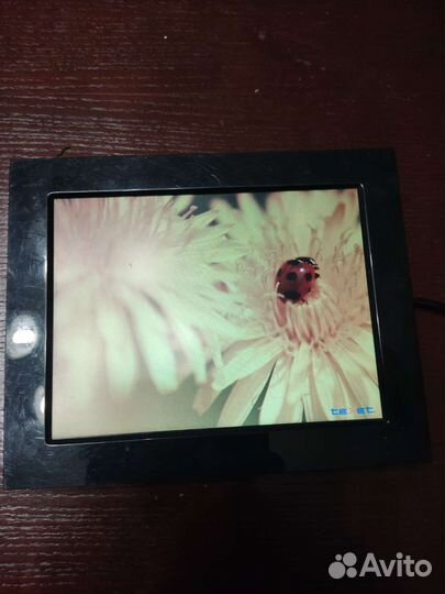 Цифровая фоторамка Texet TF-308