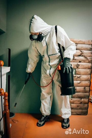 Дезинфекция, дератизация