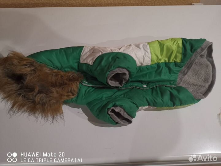 Одежда для маленьких собак