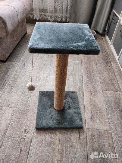 Когтеточка