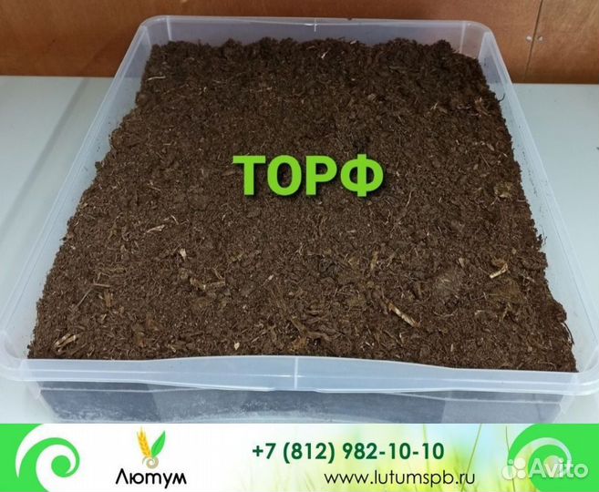 Торф