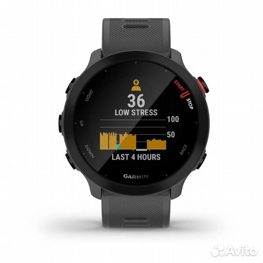 Часы Garmin Forerunner 55 Monterra Grey