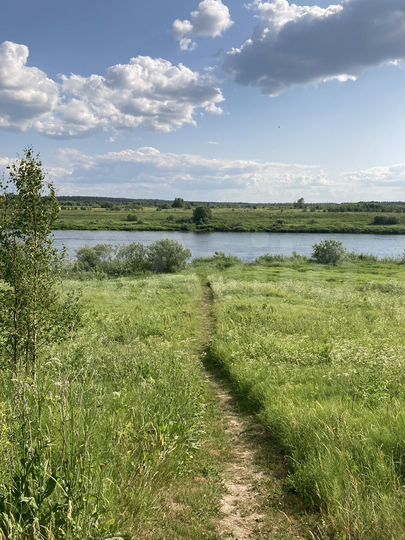 Участок 20 сот. (СНТ, ДНП)