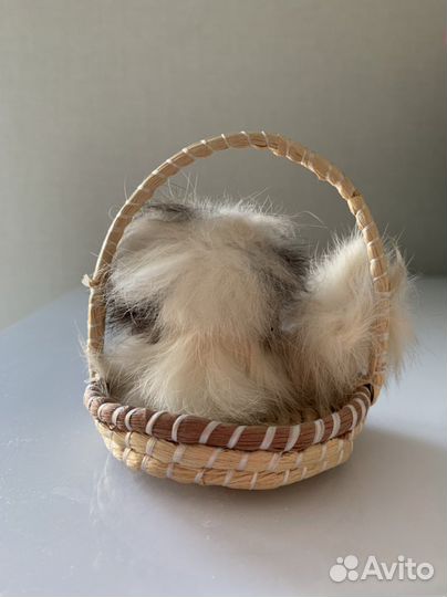 Сувенир собачка в корзинке