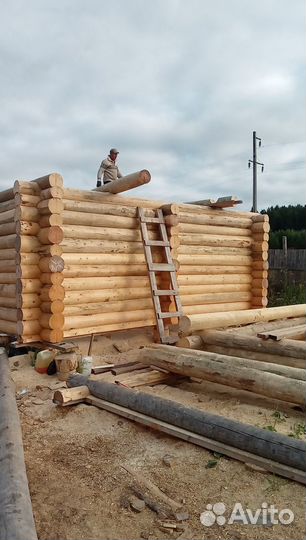 Срубы под ваш размер