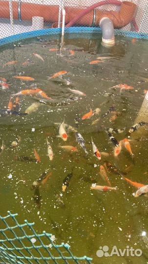 Рабочий на производство с обучением