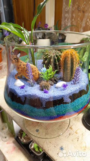 Флорариум стеклянный