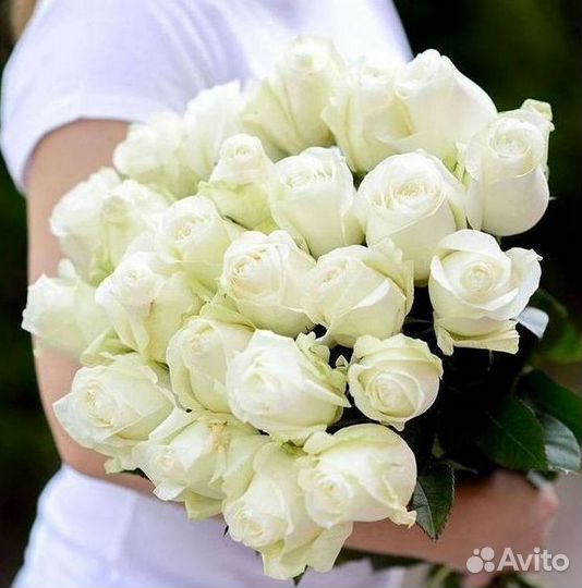 101 роза цветы букеты доставка 25 51 101 роза