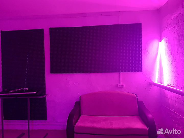 Студия звукозаписи bulwav