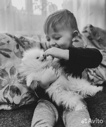 Фотограф Москва