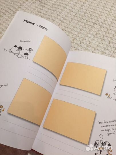 Книга-альбом