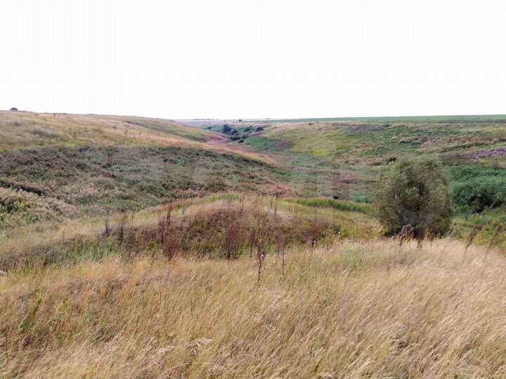 Участок 47 га (СНТ, ДНП)