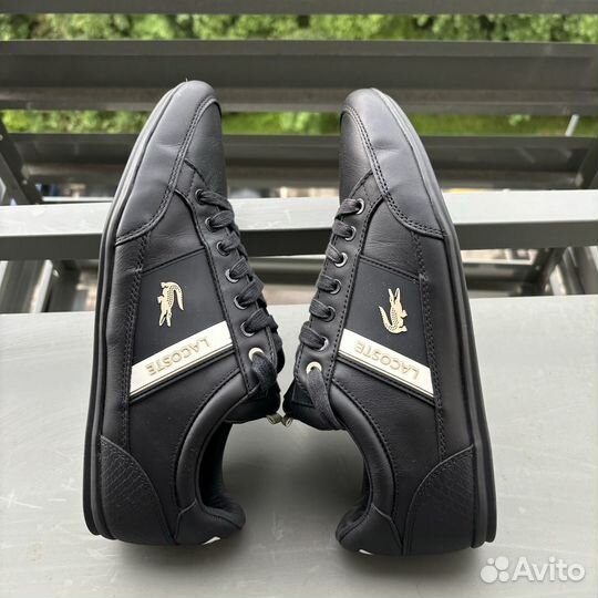 Lacoste кеды мужские 42