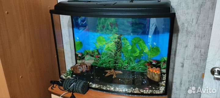 Аквариум