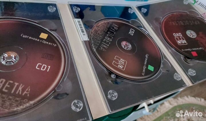 Светлана Сурганова - Кругосветка