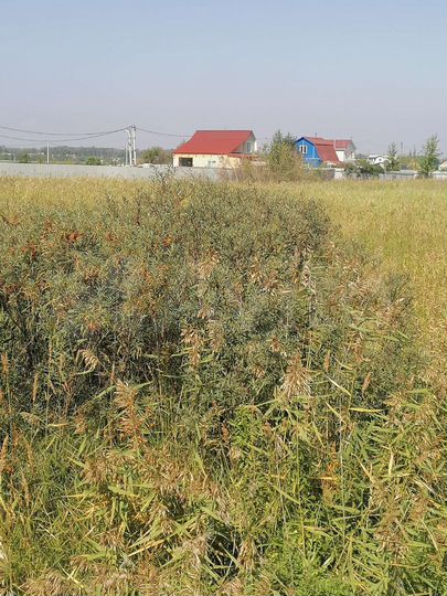 Участок 10 сот. (СНТ, ДНП)