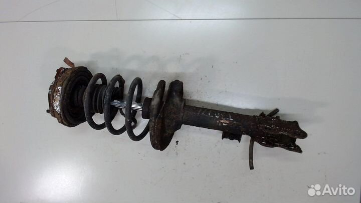 Амортизатор подвески Nissan X-Trail (T30), 2006