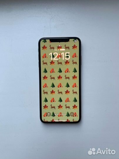 iPhone XS max 4/256g RU/A