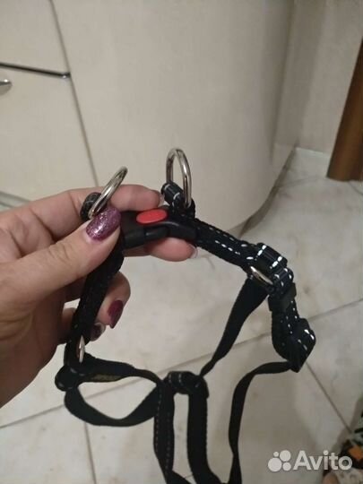 Ошейник новый, шлейка новая