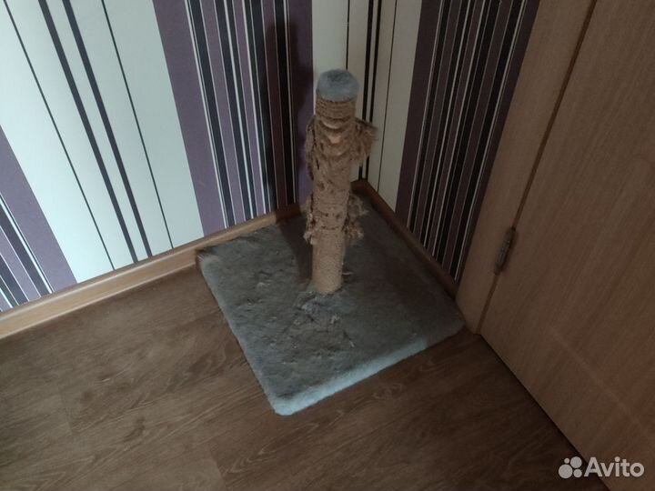 Когтеточка
