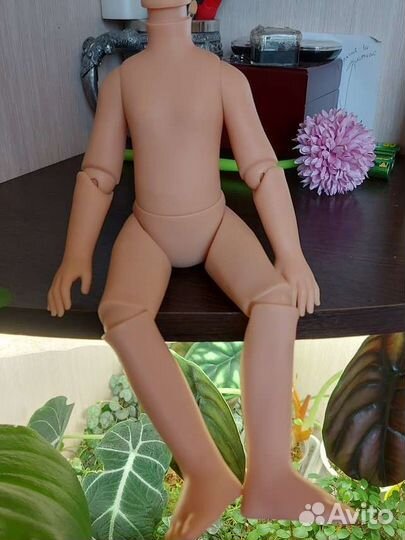 Шарнирное тело для паола рейна