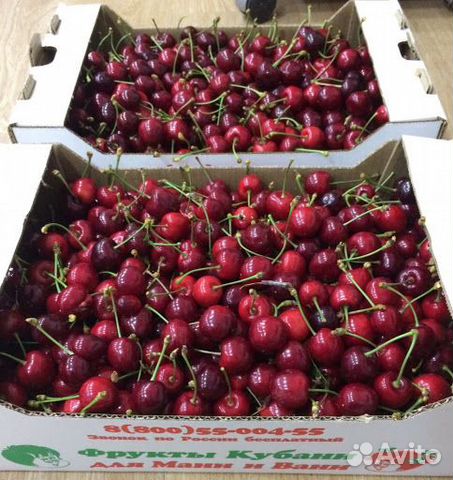 Черешня в ящиках. Черешня в пластиковом ящике. Черешня в деревянном ящике. Черешня в контейнере. Коробка черешни.