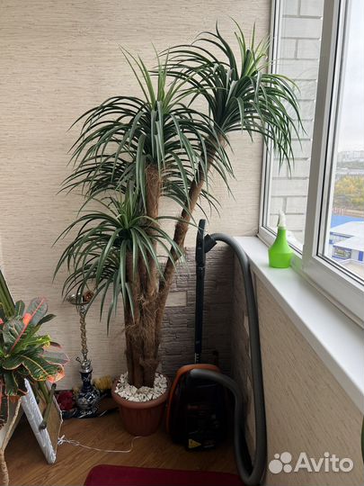 Искусственная пальма