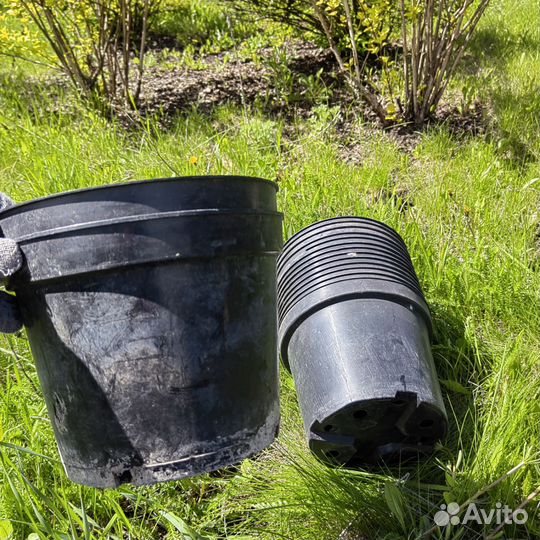 Горшки 5литровые 10 шт