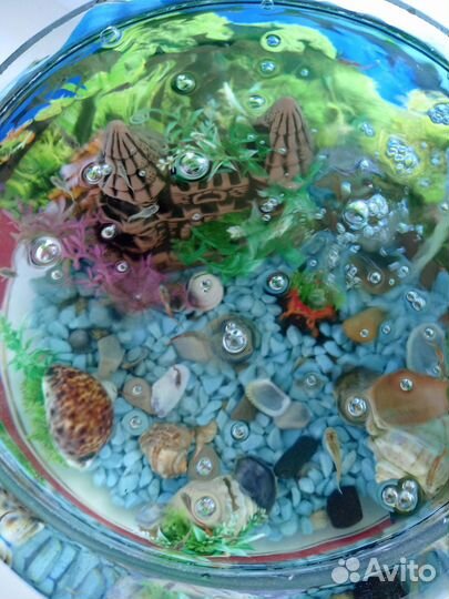 Аквариум, рыбки