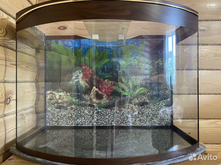 Аквариум на 120 литров