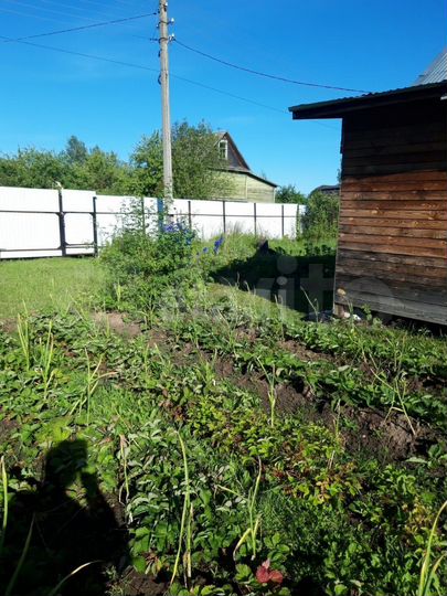 Дача 36 м² на участке 10 сот.