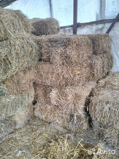 Сено и солома в тюках