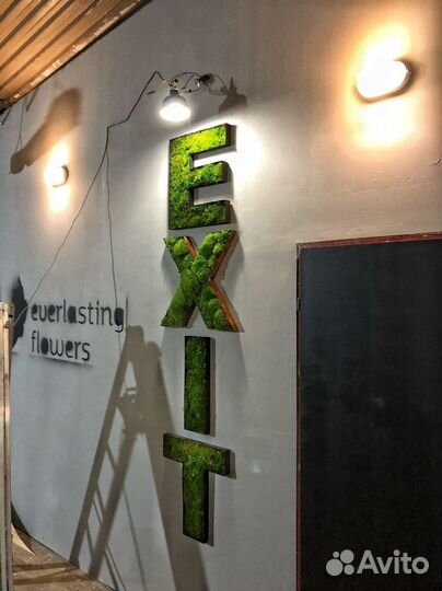 Логотип из мха без растений