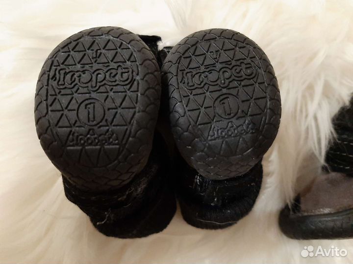 Ботинки для собак