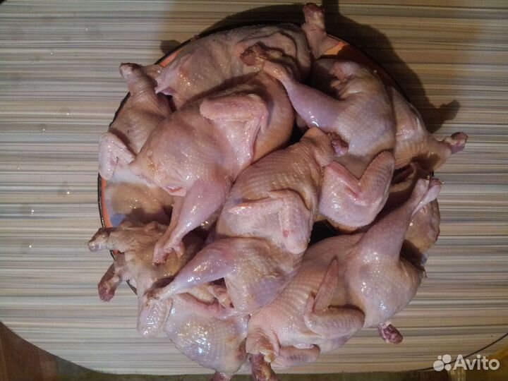 Перепелки тушки