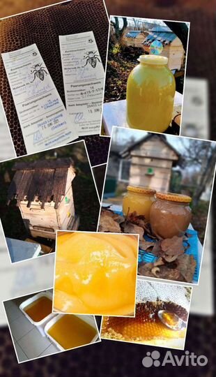 Пчелы пчелопакеты матки Бакфаст, Карника