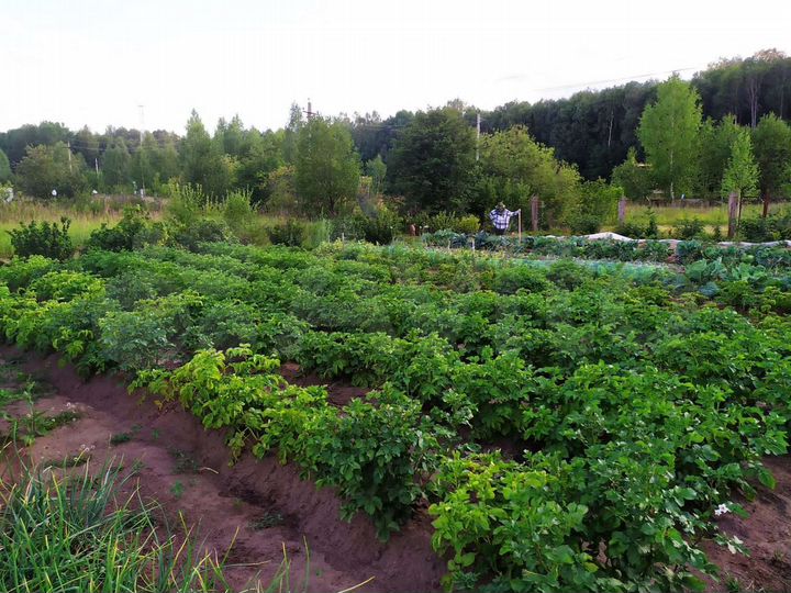 Дача 30 м² на участке 11 сот.