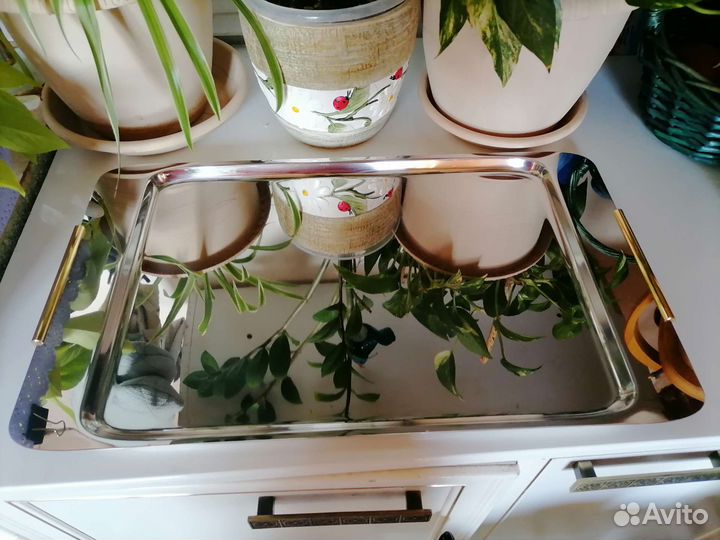 Zepter посуда и приборы