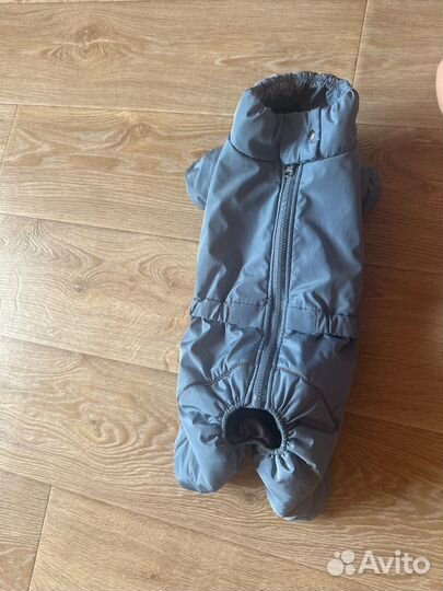 Зимний комбинезон для маленькой собаки