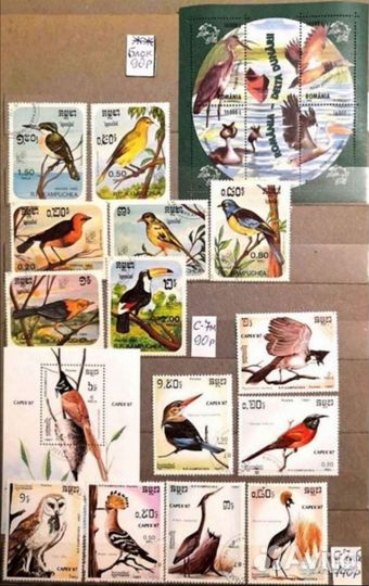 Подборка 22 птицы фауна Сборник