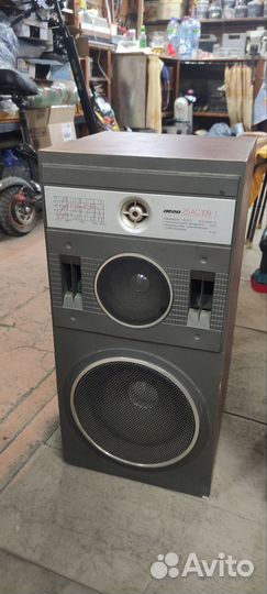 Акустику Вега 25ас109-1