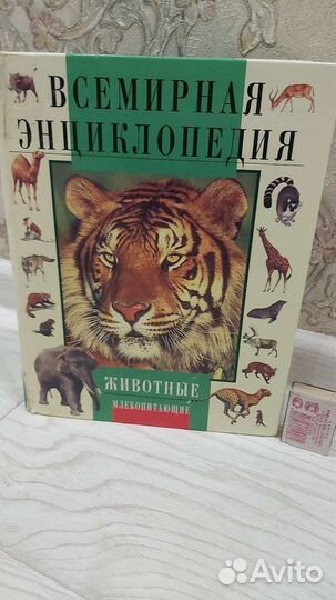 Энциклопедия