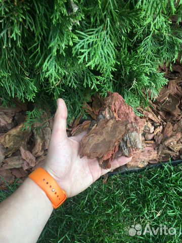 Мульча кора декоративная